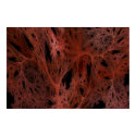 Fire cobweb posters by shineout_com Fire cobweb posters