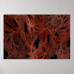 Fire cobweb posters
