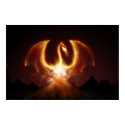 Fire Dragon posters
