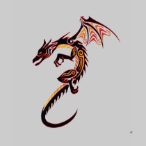 Fire Dragon t-shirts