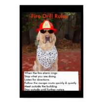 Fire Drill posters