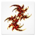 Fire Ferns Photo