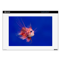 Fire Fish 15" Laptop Decals
