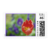 "Fire Flower" Stamp by ChelseaKerwath "Fire Flower" Stamp