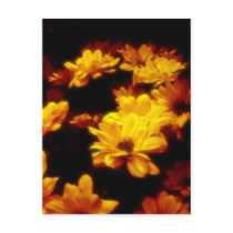 Fire flowers postcards