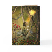 fire fly cards by AutumnsGoddess fire fly cards