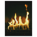 Fire Personalized Flyer