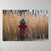 Fire Hydrant Poster