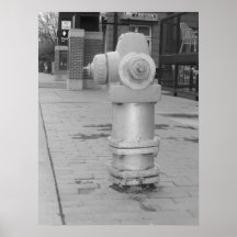 Fire Hydrant Posters