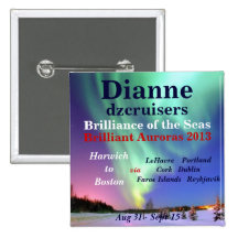 FIRE & ICE BRILLIANCE  NAME TAG PIN