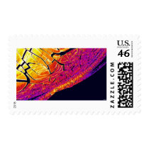 Fire Ice postage