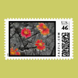 Fire in the Dark stamps