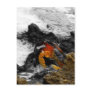Fire in the sea postcards