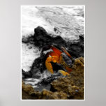 Fire in the sea poster