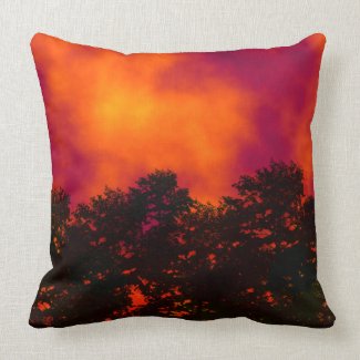 Fire in the Sky American Mojo Pillow Throw Pillows