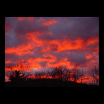 Fire in the Sky posters