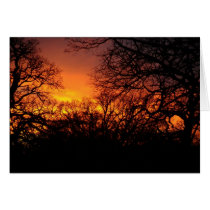Fire In The Sky Sunset Card cards