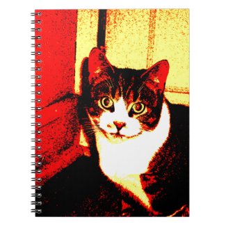 Fire Kitten Spiral Notebook