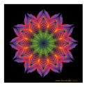 Fire Lotus Mandala posters
