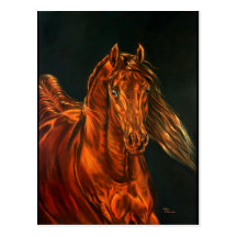 Fire Postcard