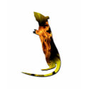 Fire Rat T-shirt