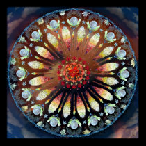 Fire Rose Mandala posters