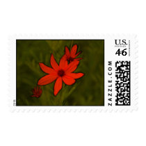 Fire Star postage