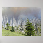 Fire Storm