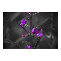Fire Weed Mugshot Poster posters by airborne200208 Fire Weed Mugshot Poster posters