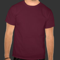 Fire Wing t-shirts