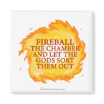 Fireball the Chamber magnets