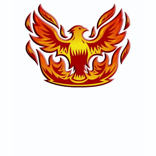 Firebird 3D shirt