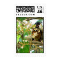 Firebirds postage by parishilton2007 Firebirds postage