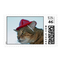 firecat postage by cindylu5 firecat postage