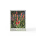 Firecracker Penstemon - Native Notecard