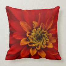 Firecracker Pillow