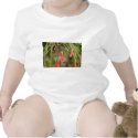 Firecracker Plant t-shirts