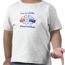Firecracker T-Shirt t-shirts