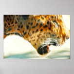 FireCreatures 10 Print