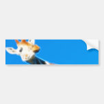 FireCreatures 17 Bumper Sticker