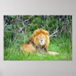 FireCreatures 2 Print