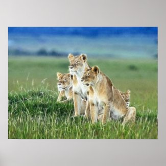 FireCreatures 4 Print