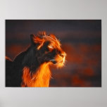 FireCreatures 5 Print