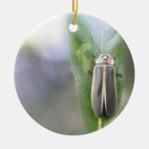 Firefly - Photuris Pyralis Christmas Tree Ornament