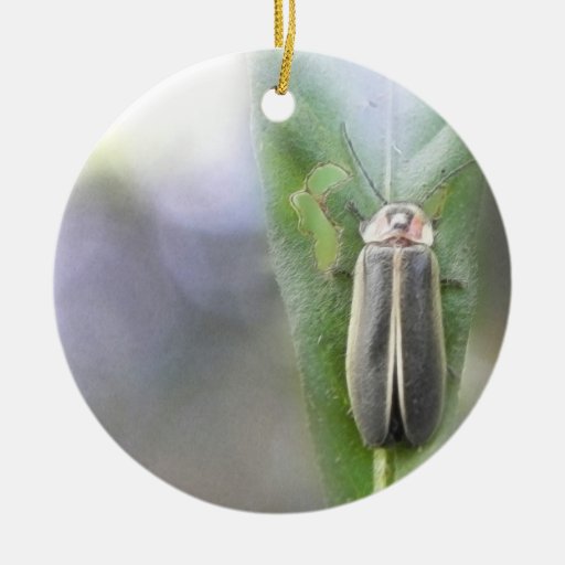 firefly photuris pyralis christmas tree ornament zazzle firefly photuris pyralis christmas tree ornament zazzle