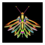 Firefly Firefly