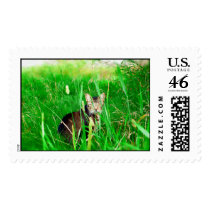 Firefox Feral Cat Oil Painting postage