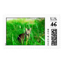 Firefox Feral Cat Oil Painting postage