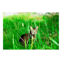 Firefox Feral Cat Oil Painting posters by feralsoul Firefox Feral Cat Oil Painting posters