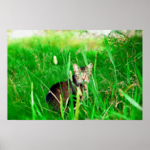 Firefox Feral Cat Oil Painting Posters